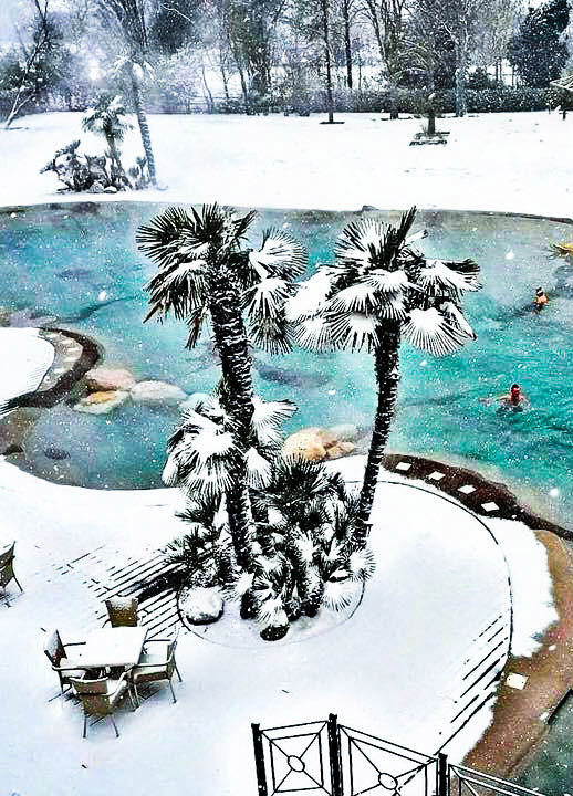 winterwonderland biodesign 2